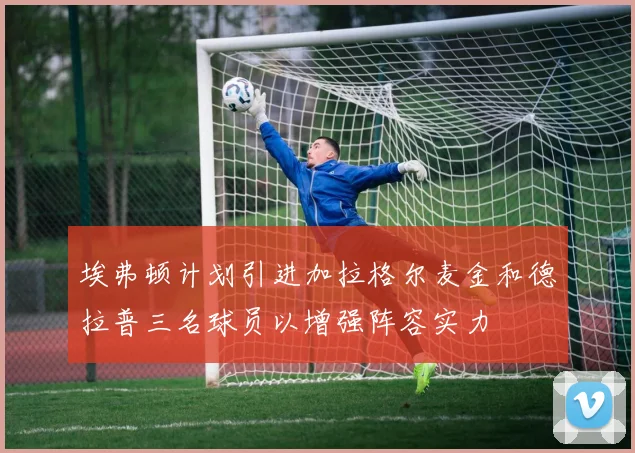 埃弗顿计划引进加拉格尔麦金和德拉普三名球员以增强阵容实力